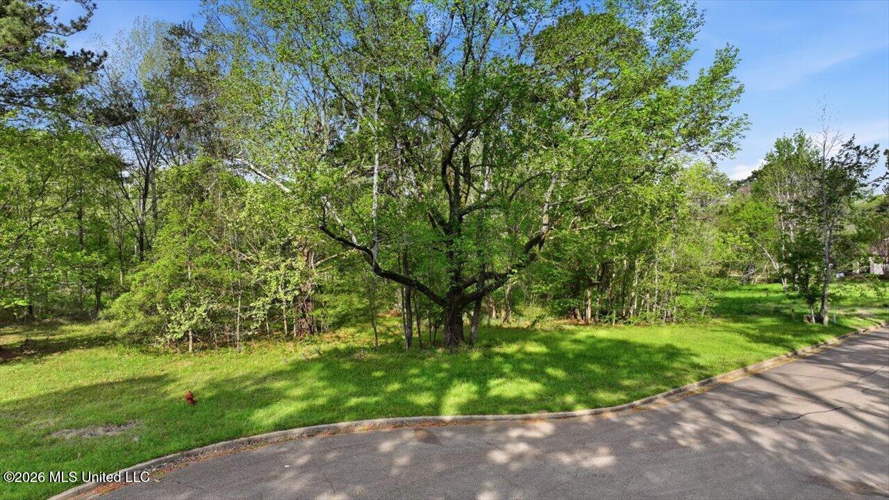 114 Bristol Court Madison, MS 39110 - Photo 24 of 34 32-114 Bristol Ct _ Home Tours MS