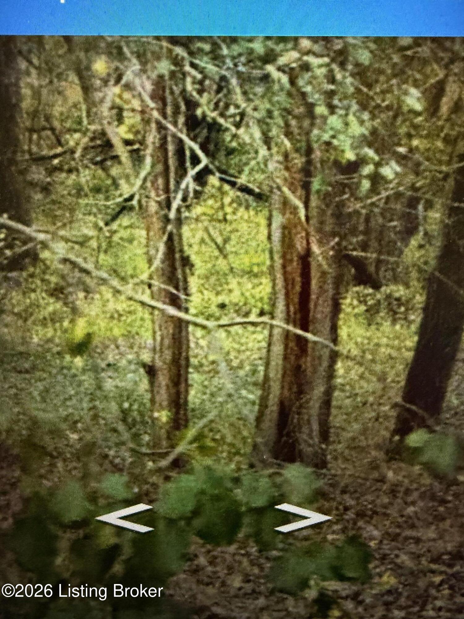 Lot 126 Riverside Drive Prospect, KY 40059 - Photo 2 of 5 Wooded