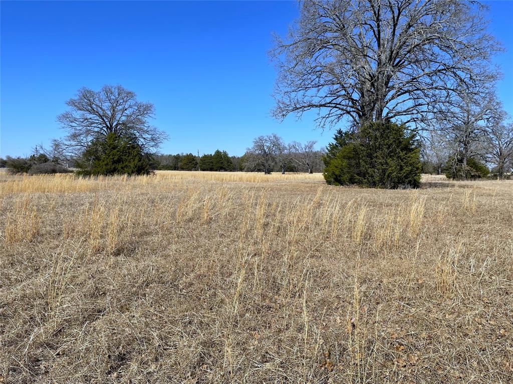 755 Fcr 601 Fairfield, TX 75840 - Photo 8 of 15