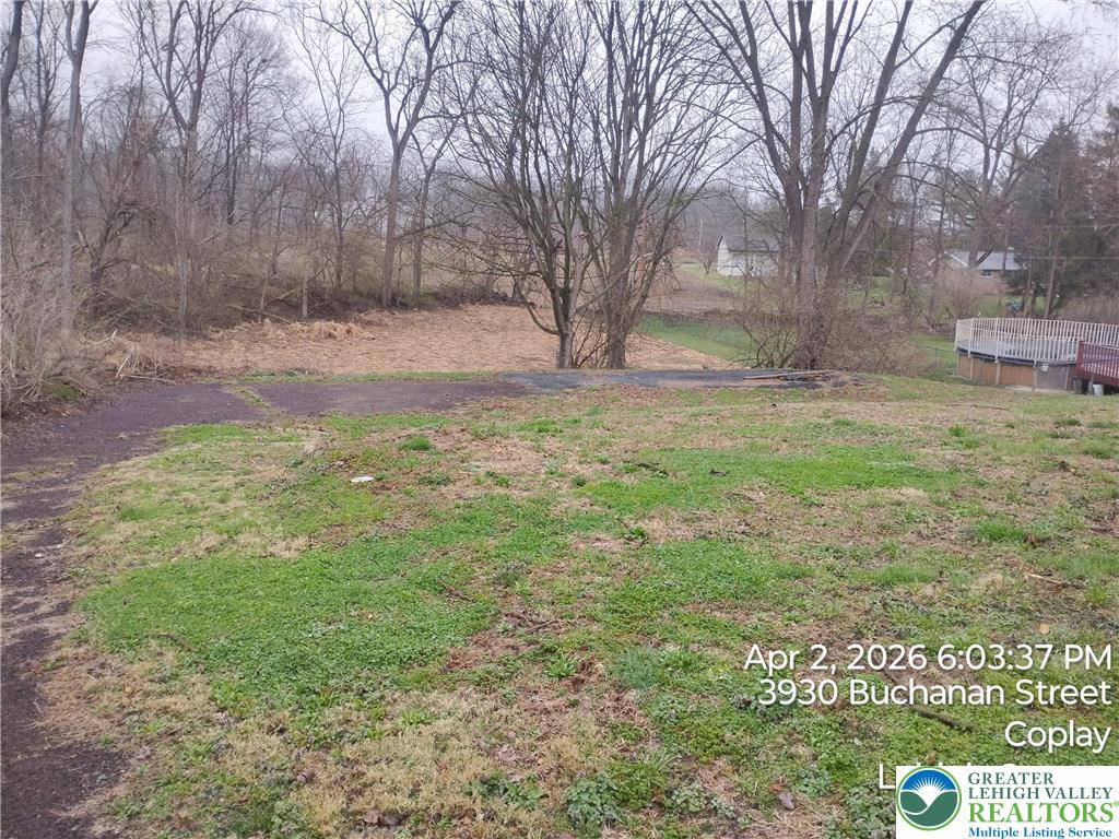3917 Buchanan Street Coplay, PA 18037 - Photo 2 of 4 a view of open space with green space