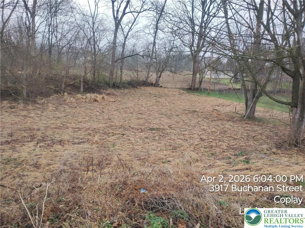 3917 Buchanan Street Coplay, PA 18037 - Photo 3 of 4 a view of a yard with trees