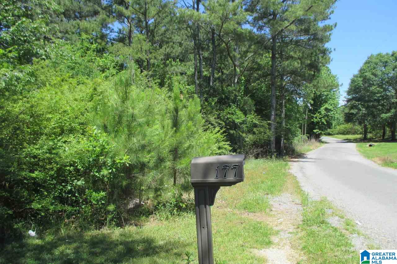 0 Washburn Drive Oneonta, AL 35121 - Photo 4 of 8
