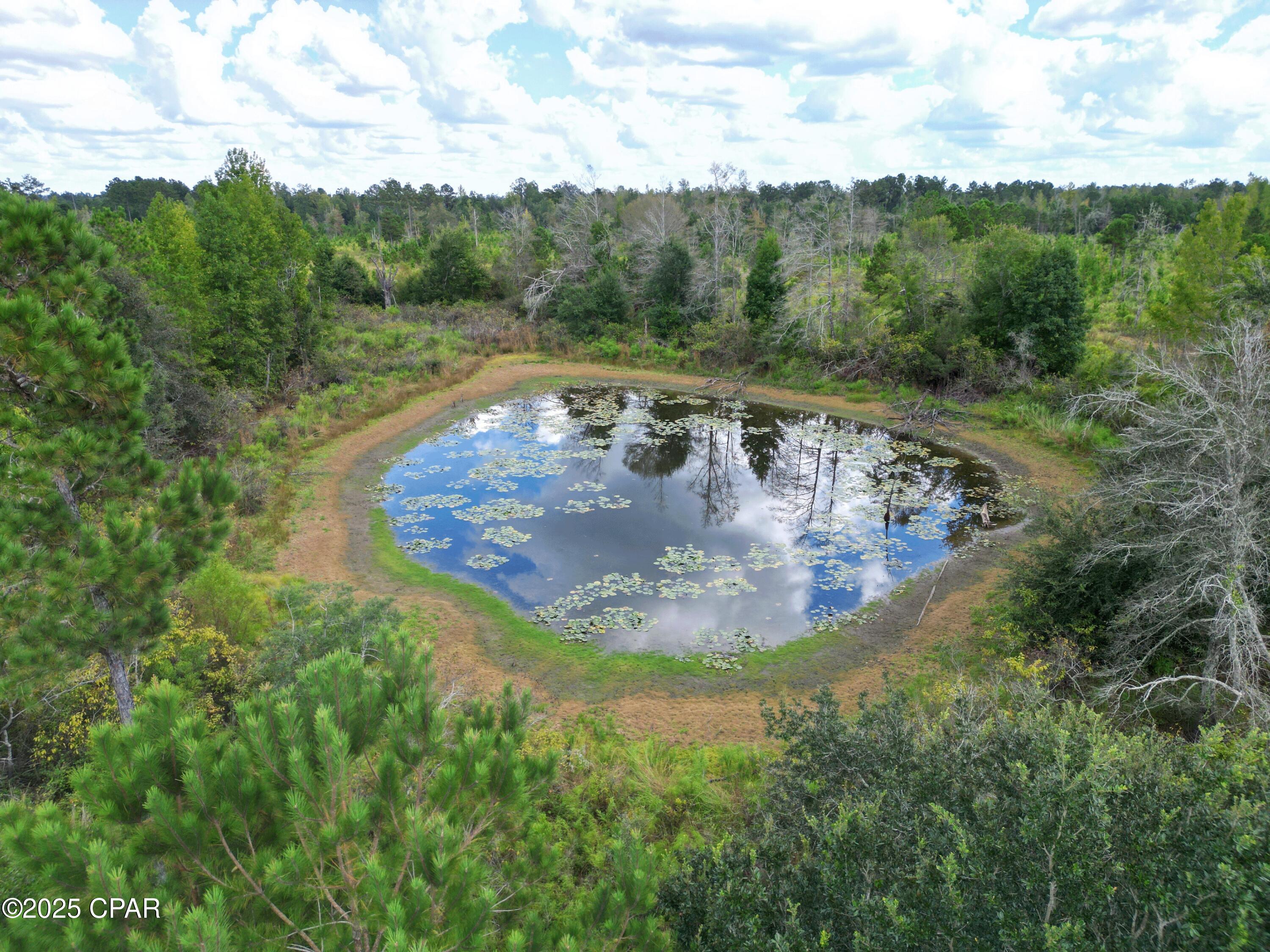 0 River Road Sneads, FL 32460 - Photo 10 of 23