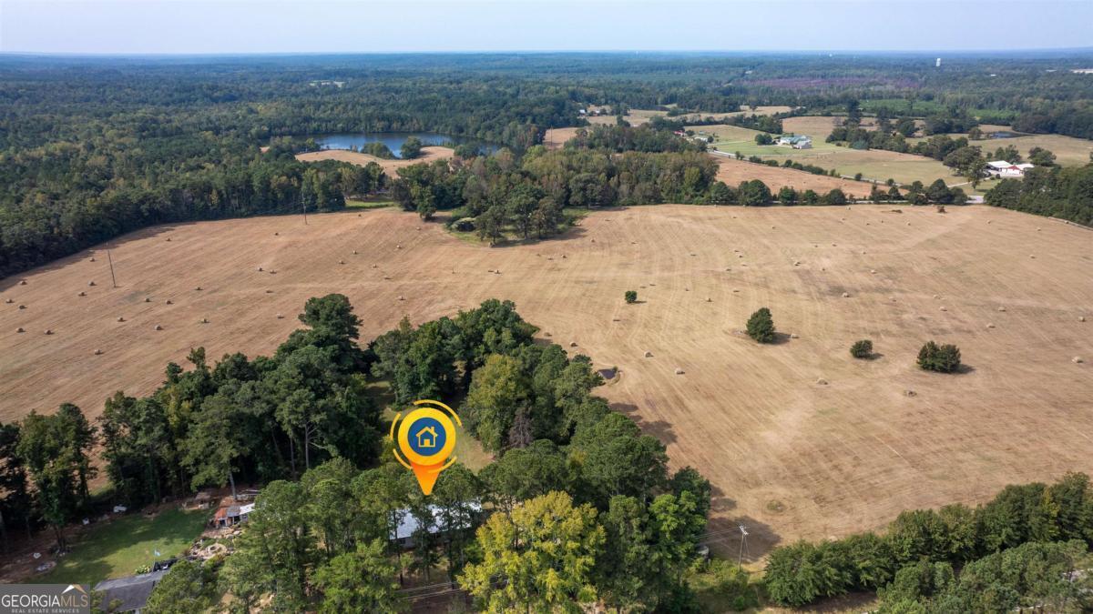 1251 Brickhouse Road Greensboro, GA 30642 - Photo 22 of 35 a view of a city