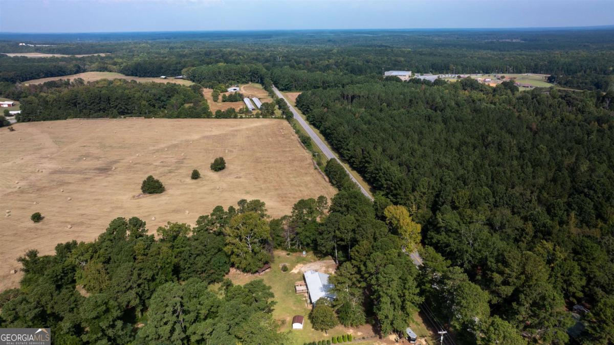 1251 Brickhouse Road Greensboro, GA 30642 - Photo 30 of 35 a view of a city