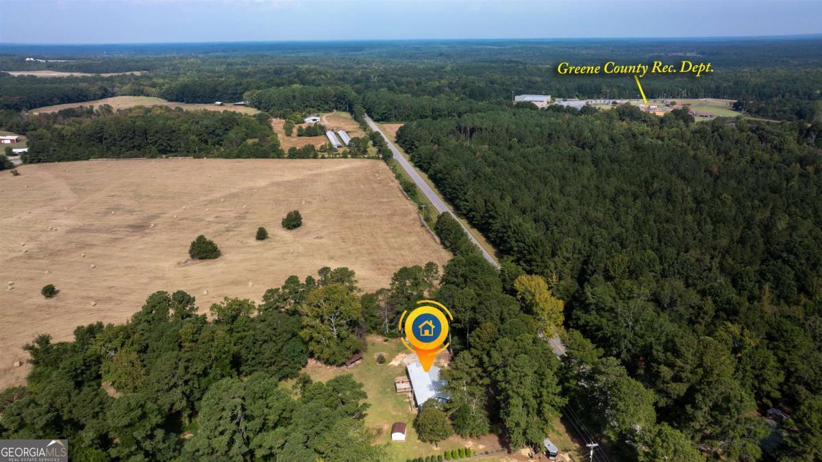 1251 Brickhouse Road Greensboro, GA 30642 - Photo 3 of 35 a view of a city