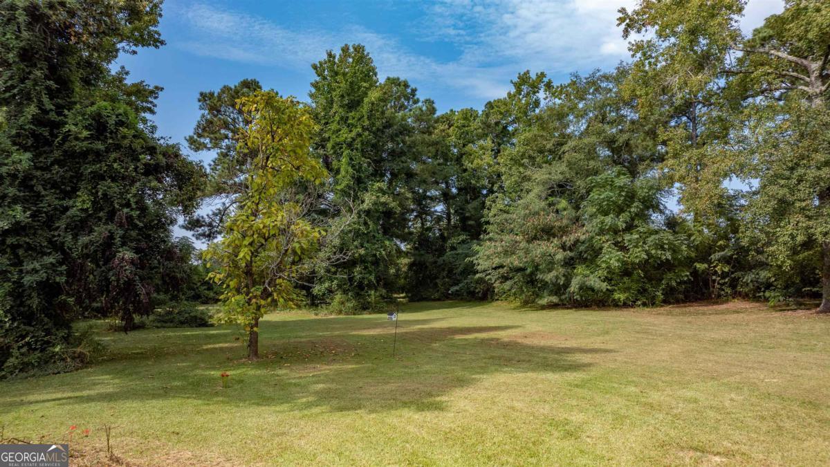 1251 Brickhouse Road Greensboro, GA 30642 - Photo 33 of 35 a view of a yard
