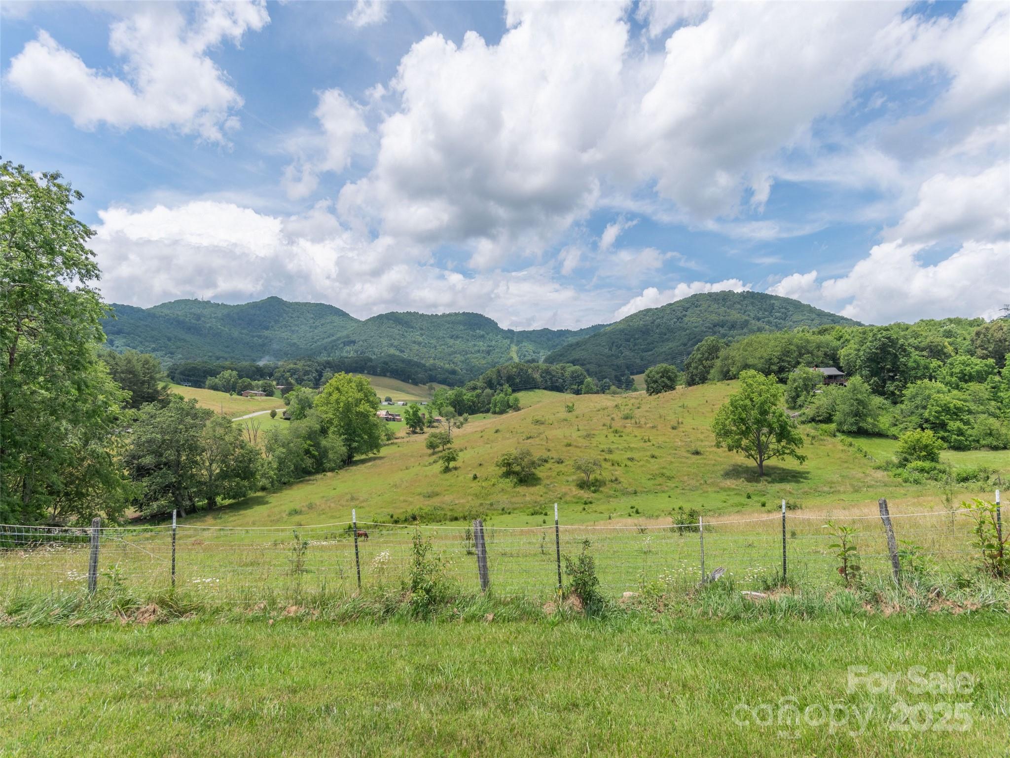 3355 Thickety Road Clyde, NC 28721 - Photo 23 of 33 a view of lake with green yard