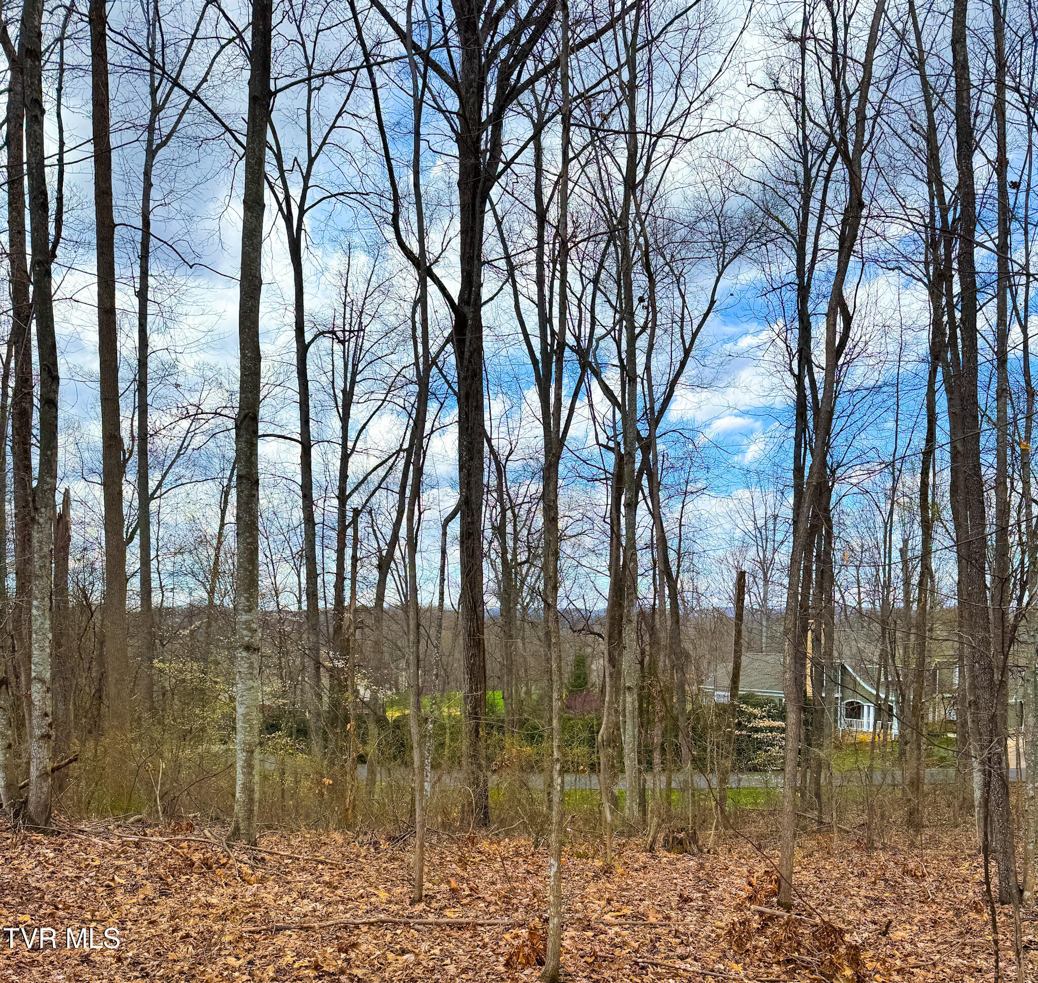 Lot 22 Stonewall Ridge, Unit 22 Bristol, VA 24202 - Photo 1 of 3 Lot 22 Street View