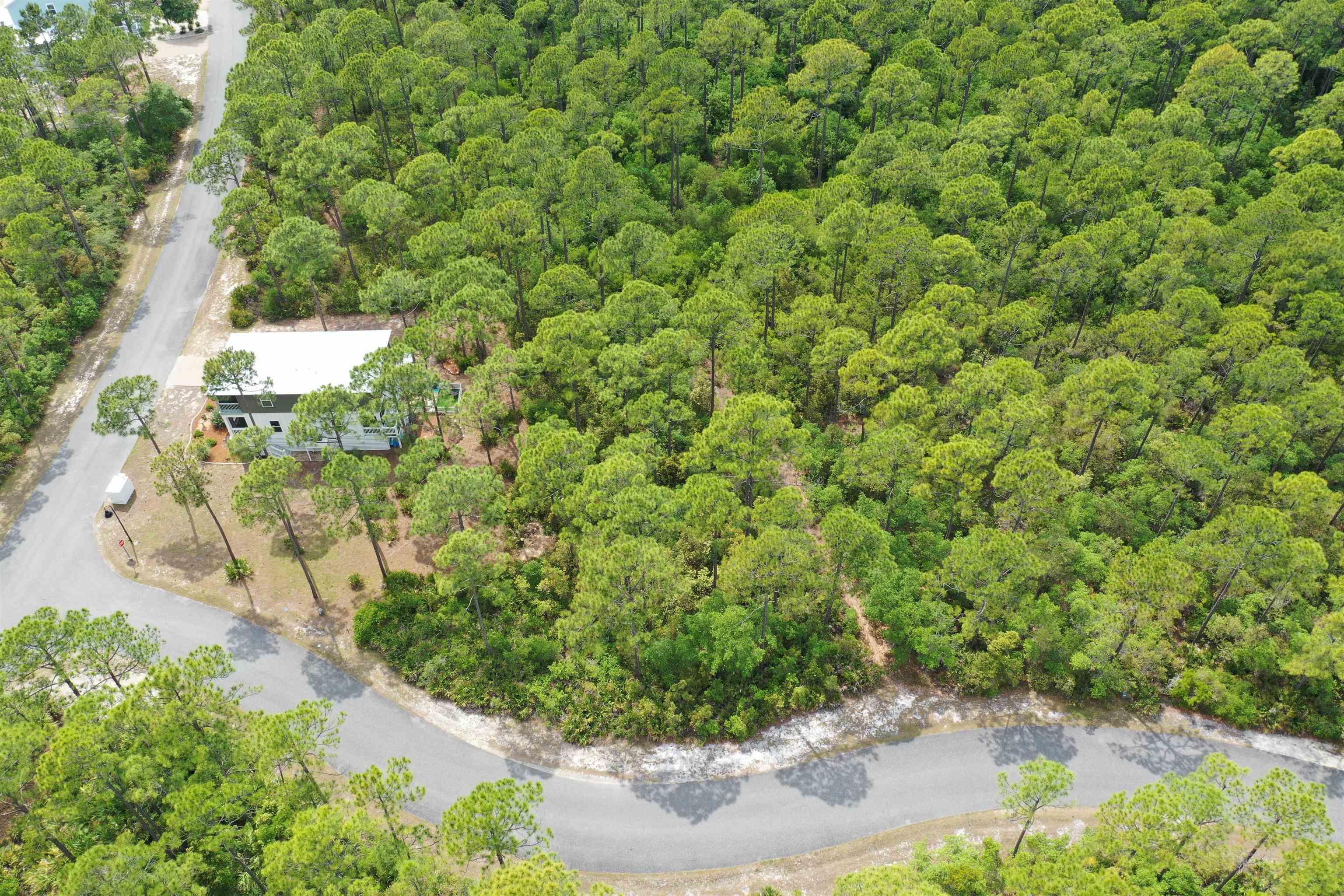 133 Fishhook Way Sopchoppy, FL 32358 - Photo 9 of 28