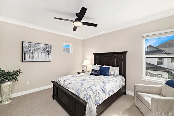 a bedroom with a large bed couch and a window