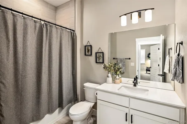 a bathroom with a sink a toilet a mirror and shower curtain