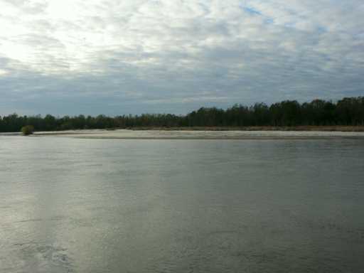 84 Oatis Camp Road Poplarville, MS 39470 - Photo 3 of 8 Additional Photo