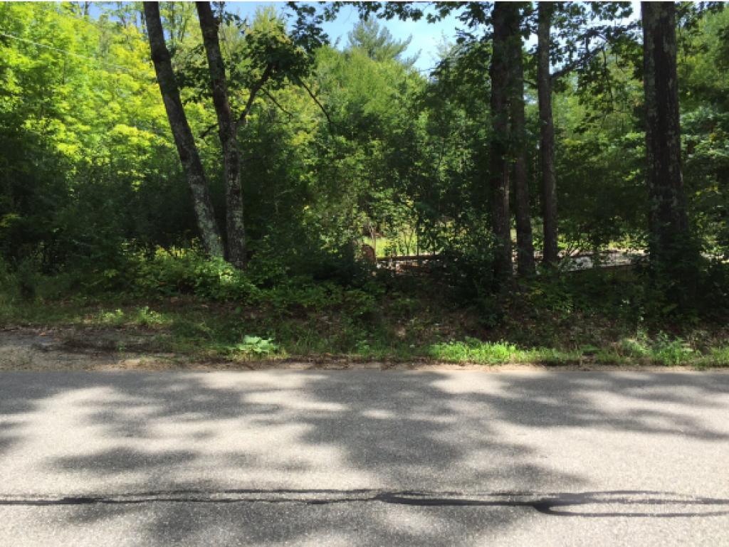 498 Old Wolfeboro Road Alton, NH 03809 - Photo 1 of 4