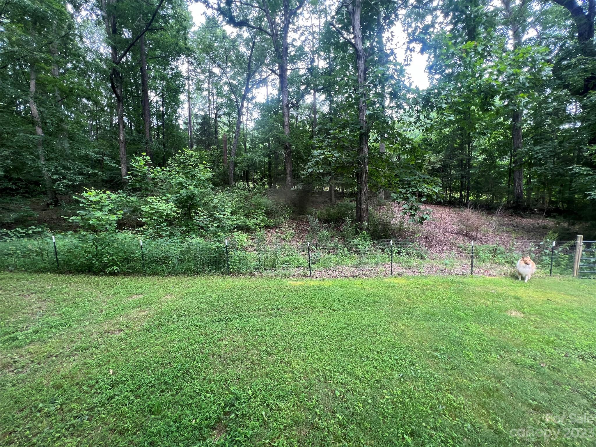 10850 Jim Sossoman Road Midland, NC 28107 - Photo 14 of 48 Gallery Image 14