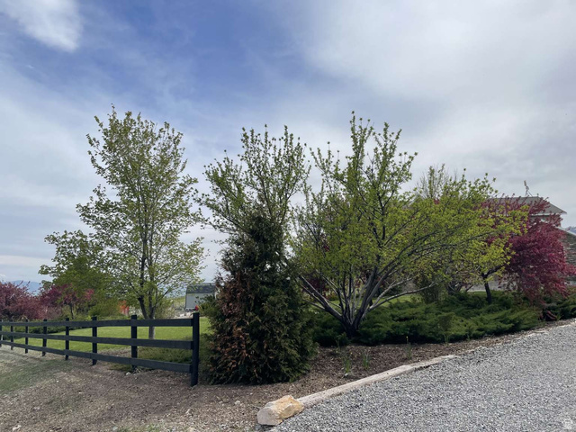 7030 West 2100 North Mendon, UT 84325 - Photo 6 of 67 Gravel driveway with a dark wood fence and varied mature landscaping featuring trees and shrubs
