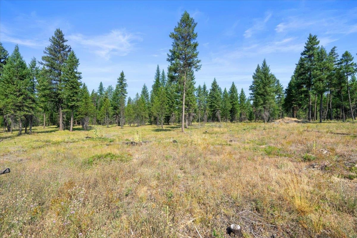 311 Bigfoot Road Newport, WA 99156 - Photo 18 of 22