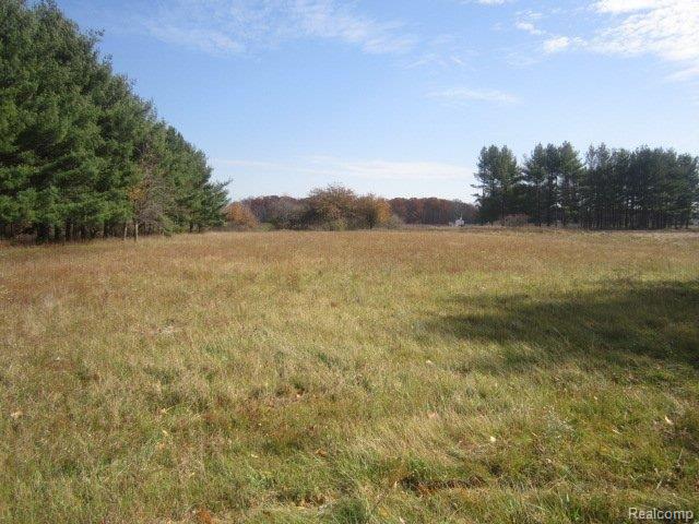 175 Wales Center Road Columbus, MI 48063 - Photo 4 of 11 yard.jpg