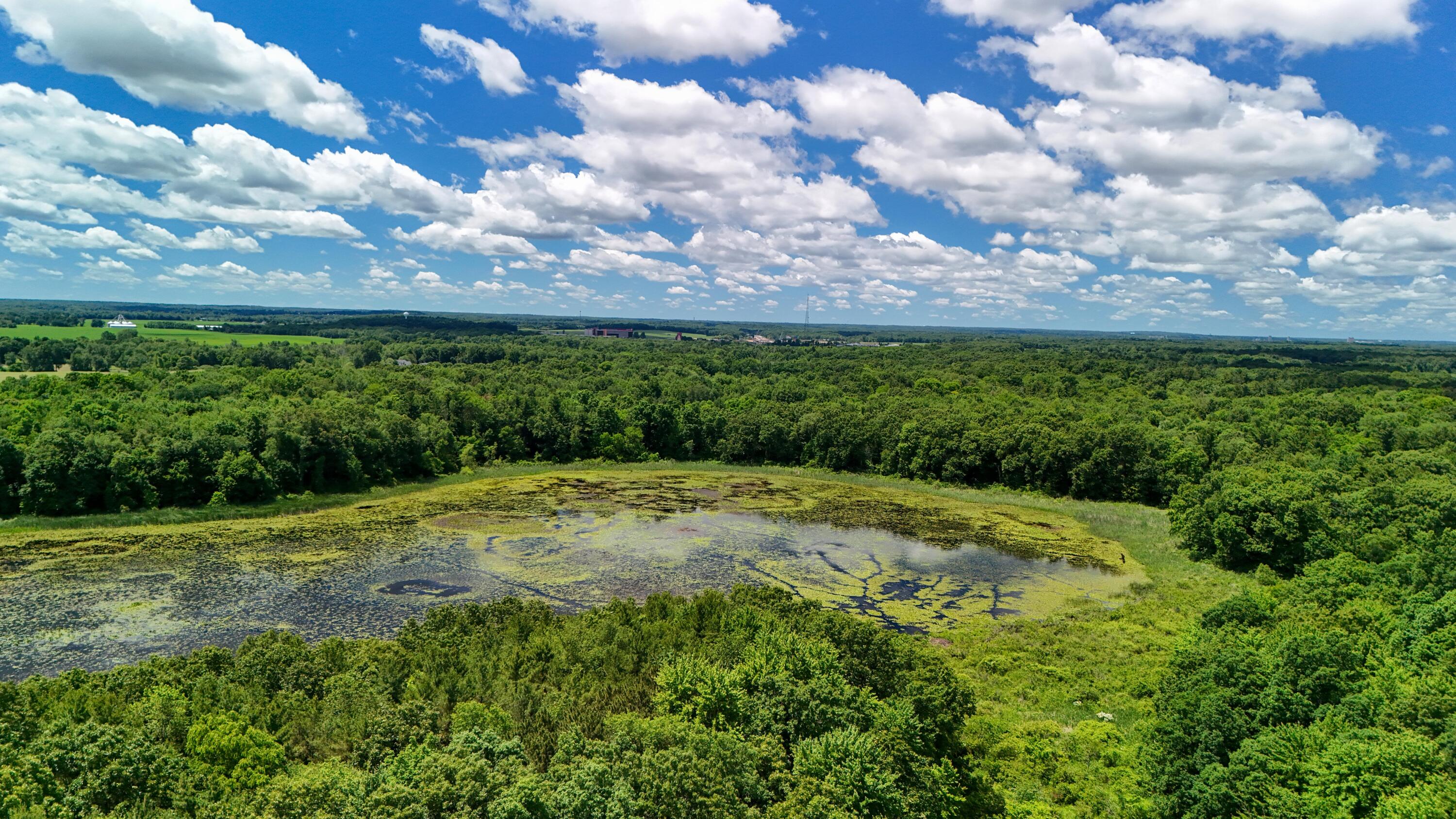 16285 13 Mile Road Battle Creek, MI 49014 - Photo 43 of 52 DJI_20260621011120_0217_E