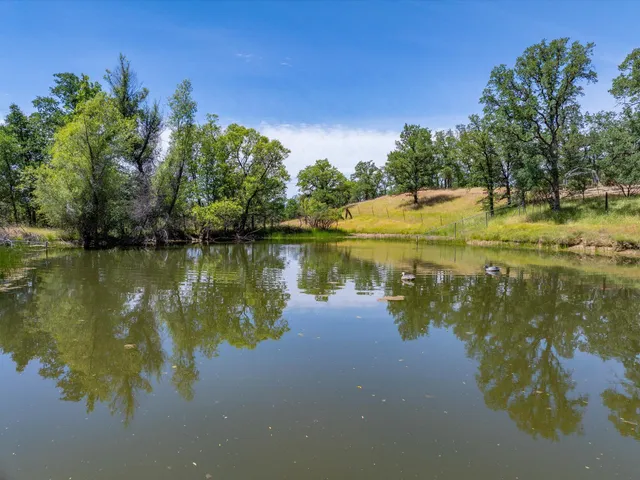 a view of a a dining room with furniture window and wooden floor