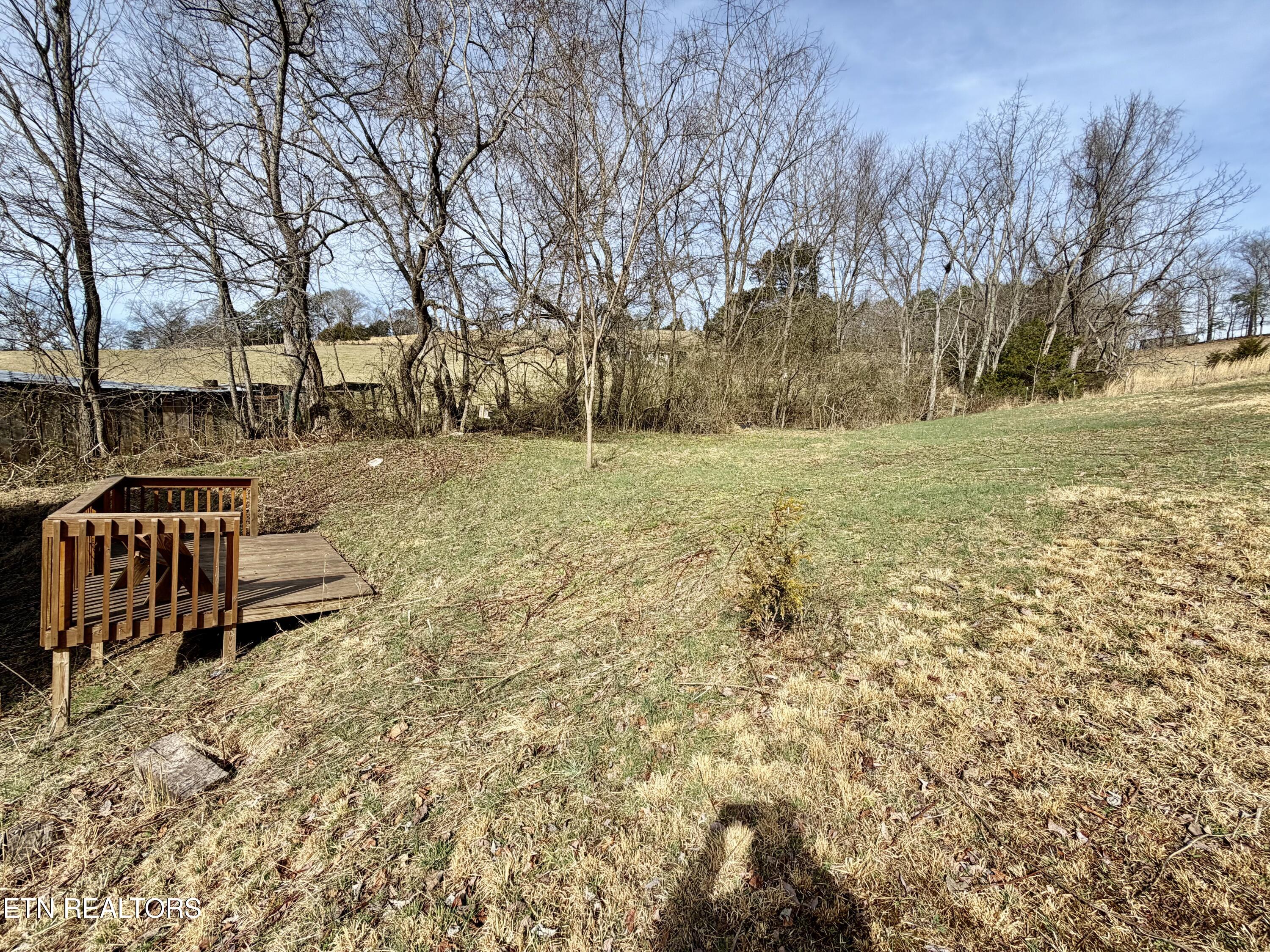 2218 Clouds Road New Tazewell, TN 37825 - Photo 12 of 40 IMG_1781