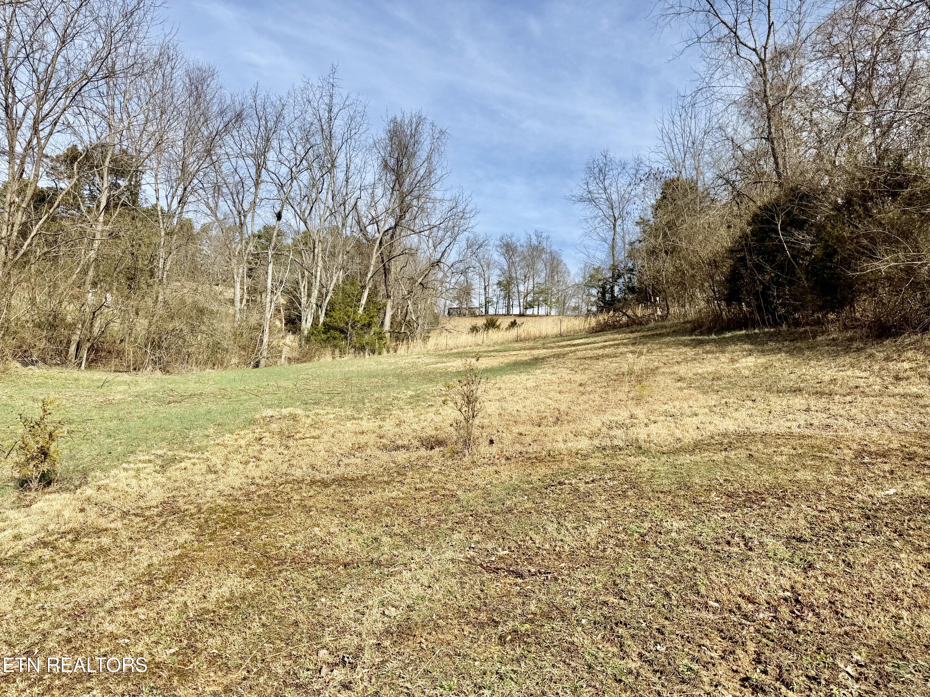 2218 Clouds Road New Tazewell, TN 37825 - Photo 13 of 40 IMG_1776