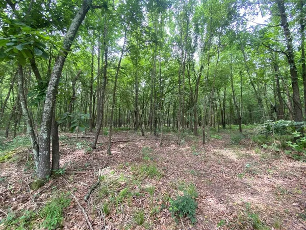 $139,800 | 150 Cr 3920 Mount, Mount Pleasant, TX 75455