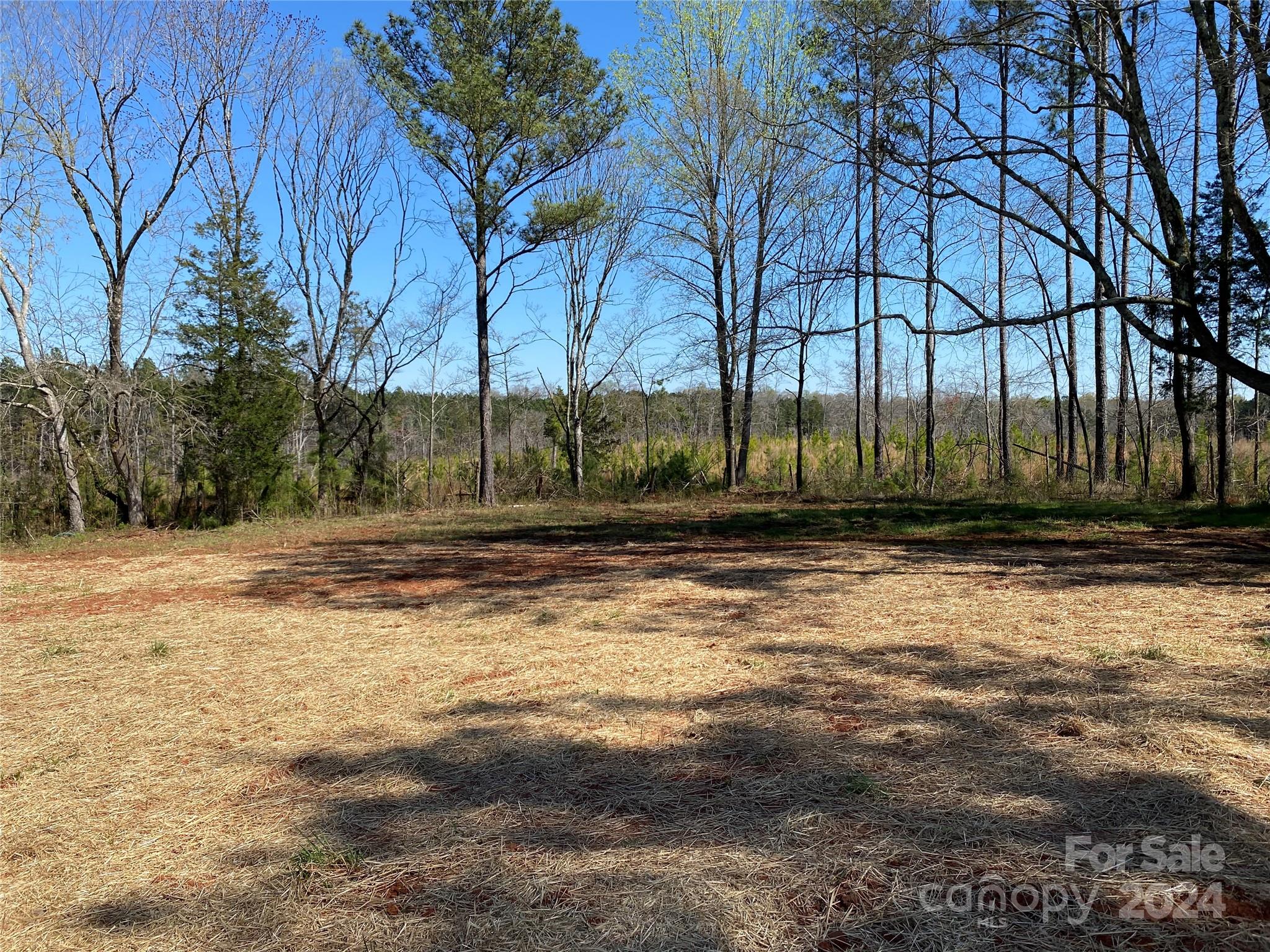 1741 Scenic View Road Hickory Grove, SC 29717 - Photo 11 of 11 a view of a yard
