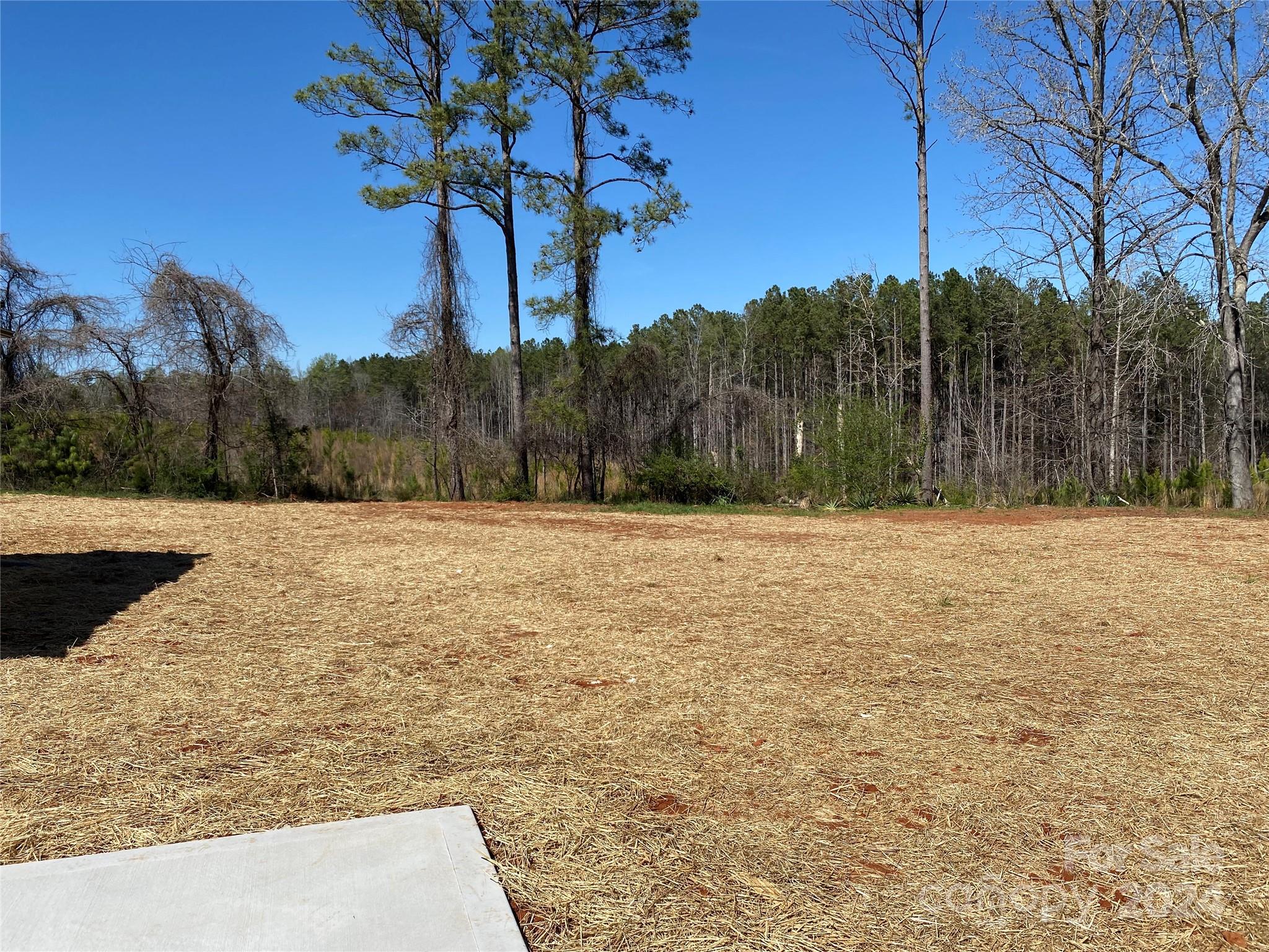 1741 Scenic View Road Hickory Grove, SC 29717 - Photo 10 of 11 a view of outdoor space with trees