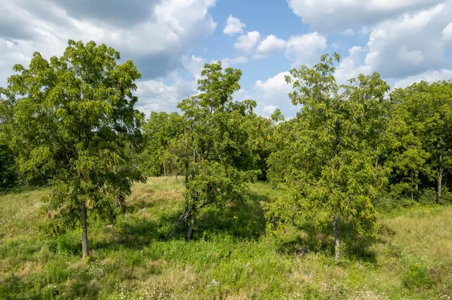 $299,000 | Lt10 Lakeview Gln Drive, Geneva, WI 53147