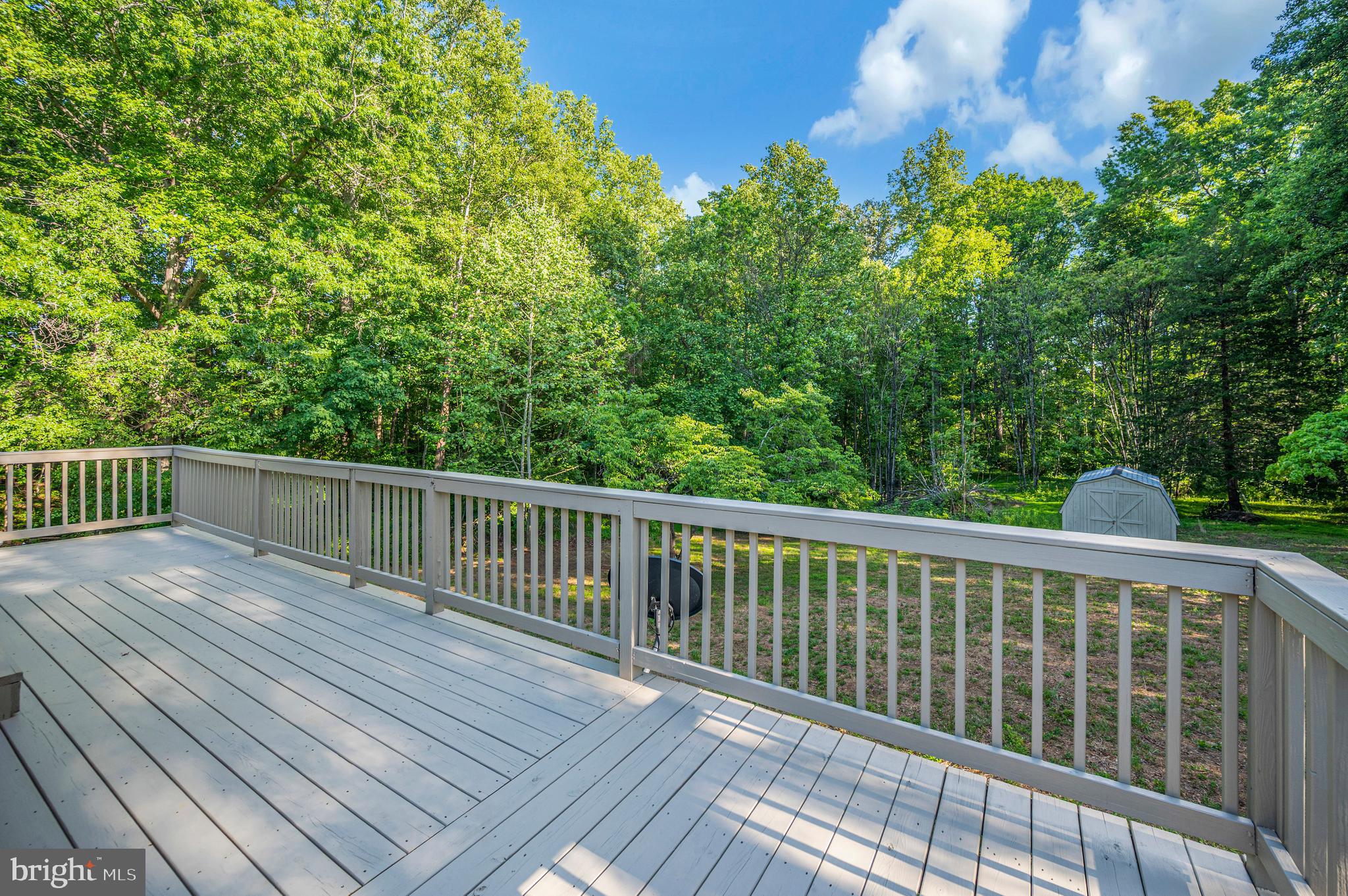 15402 Reva Road Reva, VA 22735 - Photo 32 of 46