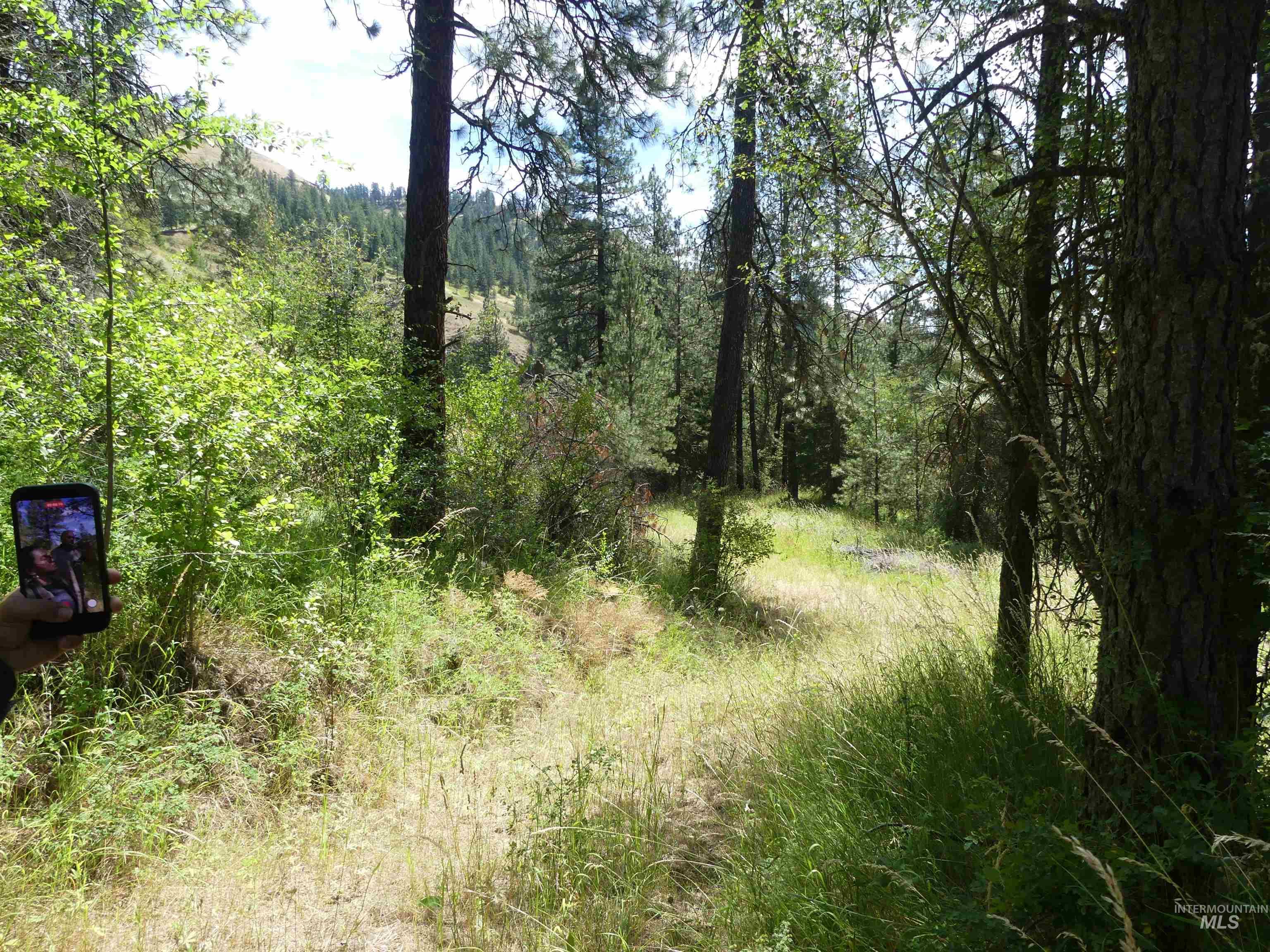 46601 Little Canyon Road Orofino, ID 83544 - Photo 44 of 46