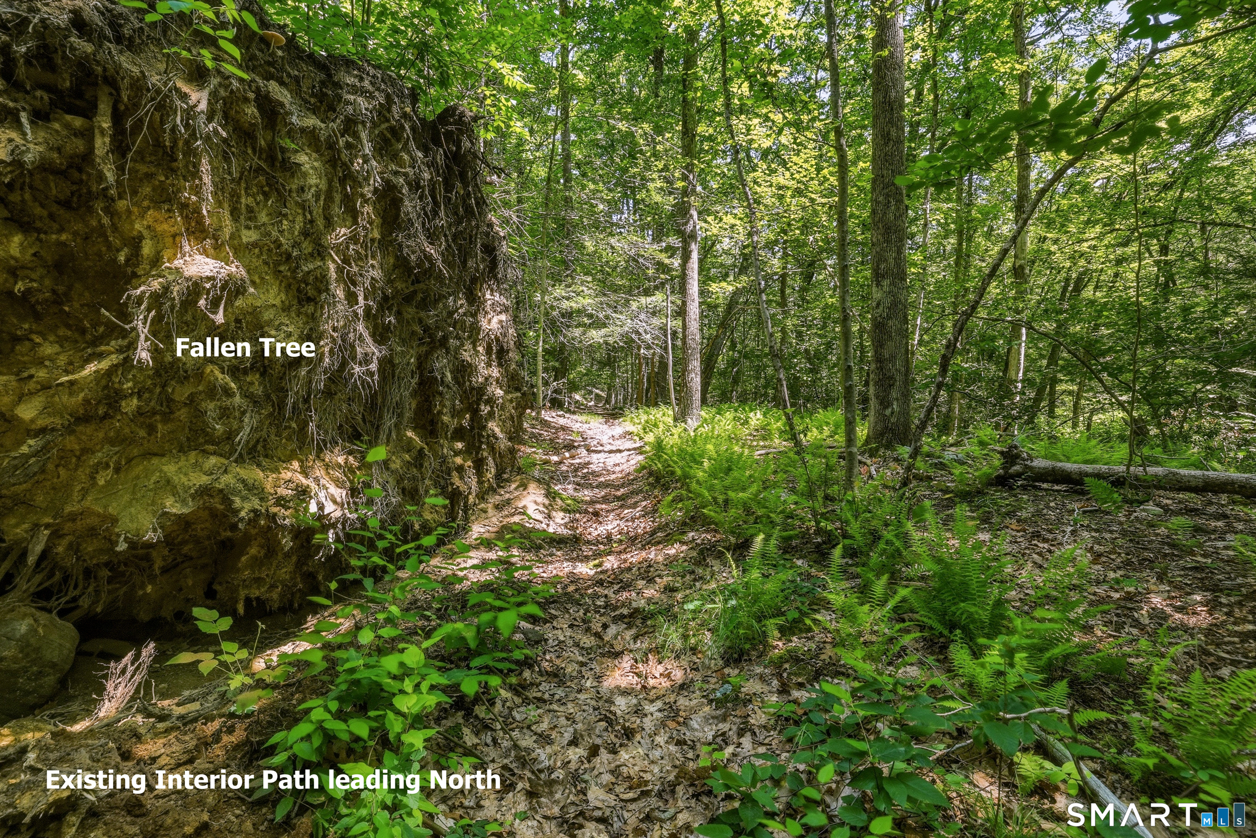 Ashley Road Winsted, CT 06098 - Photo 9 of 19