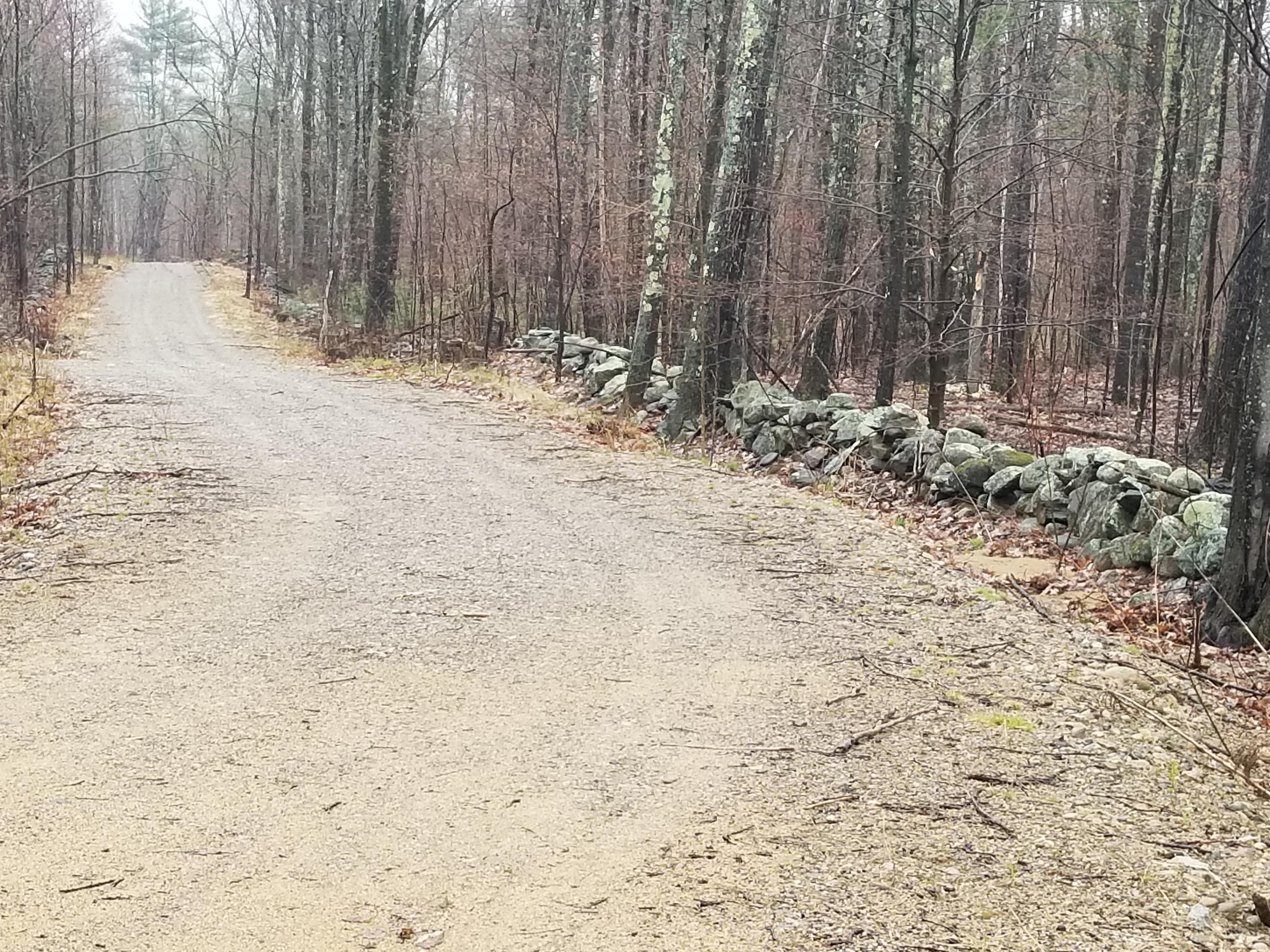 Lot #1 Heath Road Lebanon, ME 04027 - Photo 3 of 4 20190502_091733