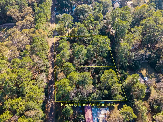 a picture of flowers