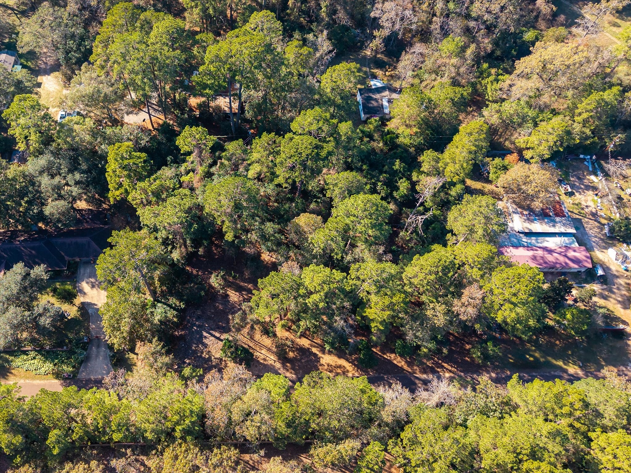 22307 Roseway Road Tomball, TX 77377 - Photo 2 of 14 a picture of flowers