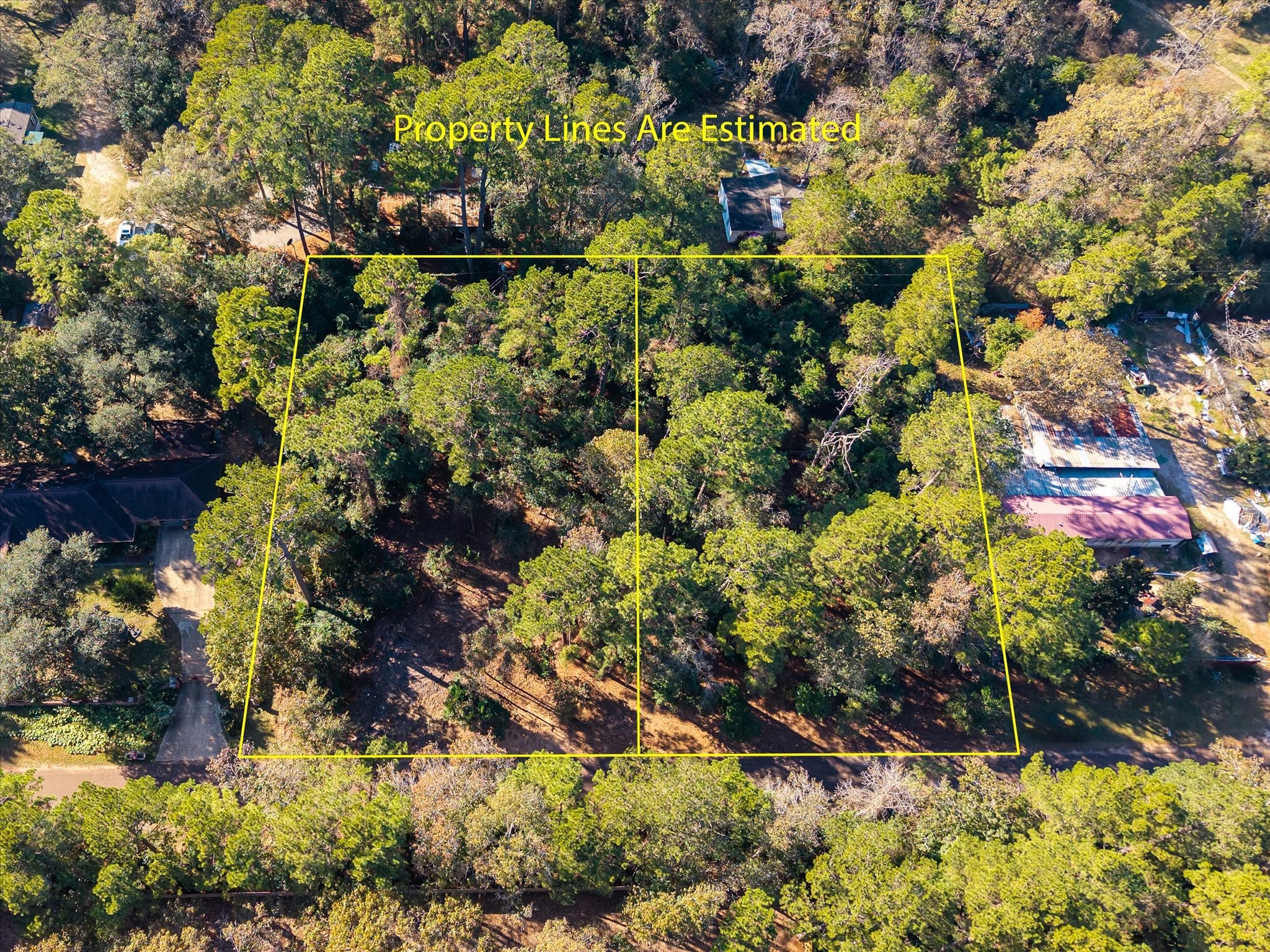 22307 Roseway Road Tomball, TX 77377 - Photo 5 of 14 a picture of flowers