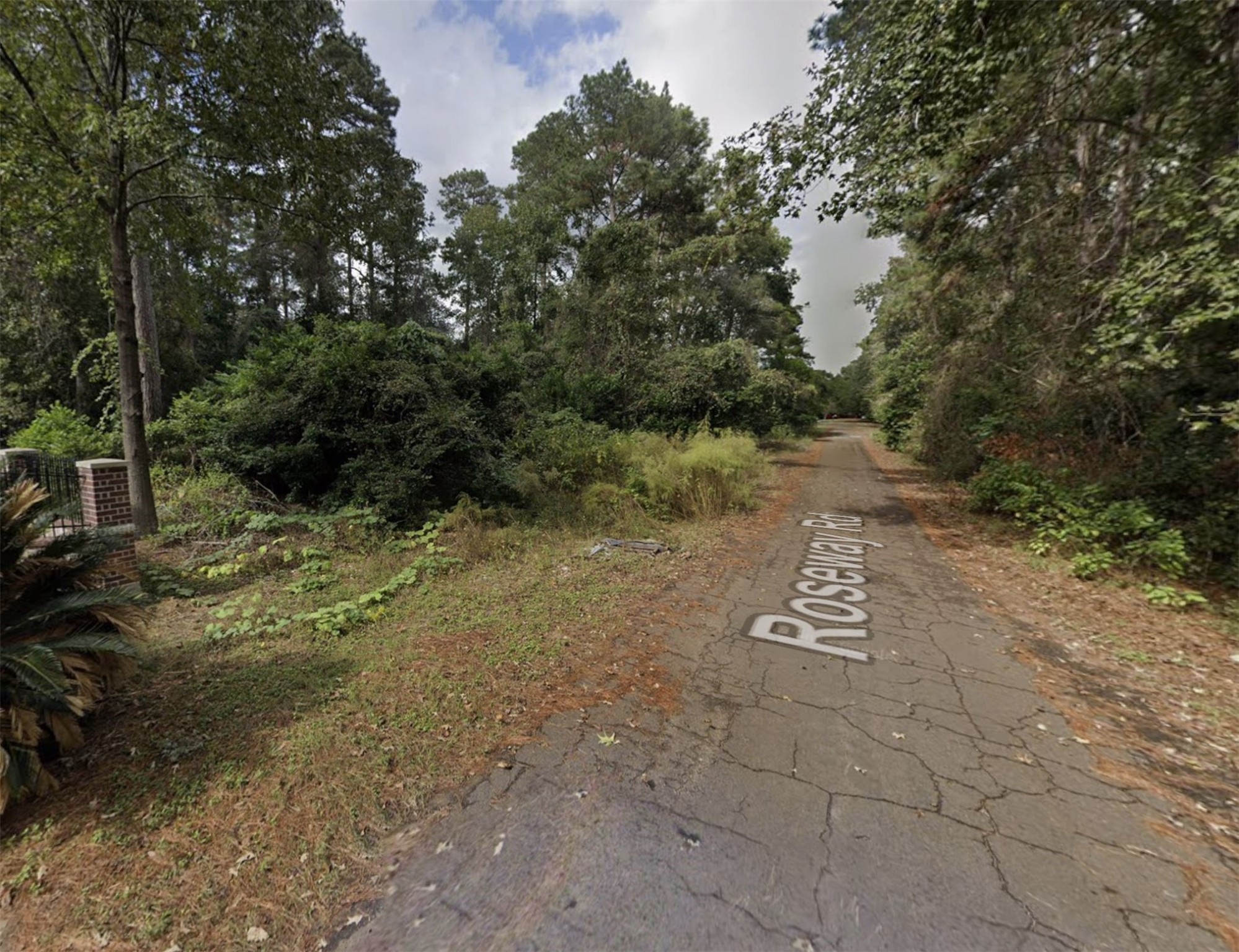 22307 Roseway Road Tomball, TX 77377 - Photo 10 of 14 a view of a park with trees