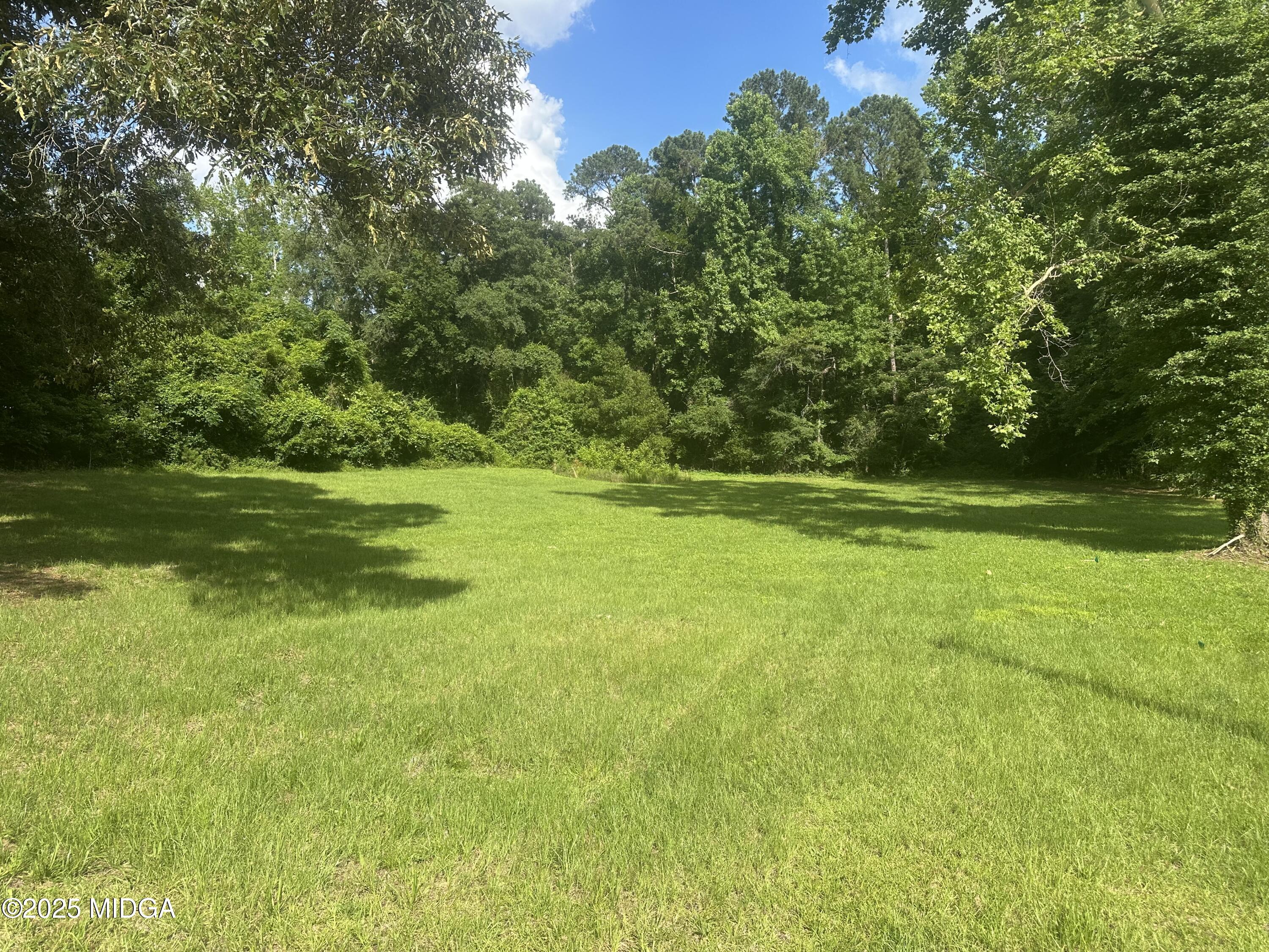 a view of a grassy field with trees