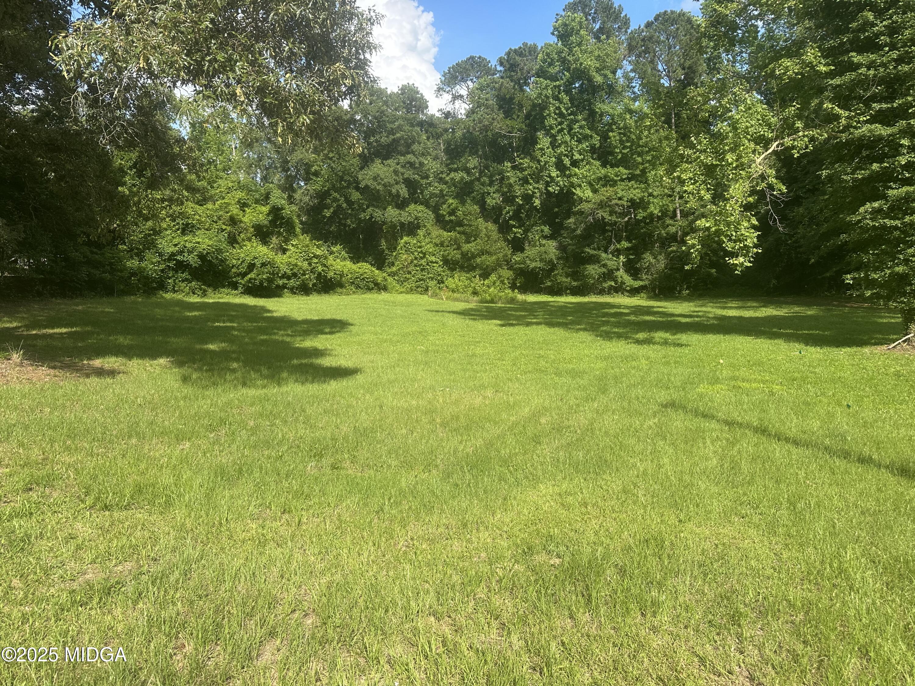 4436 Jeffersonville Road Macon, GA 31217 - Photo 2 of 3 a view of yard with green space