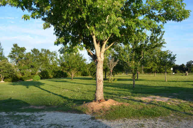 26890 Old Pensacola Road Robertsdale, AL 36567 - Photo 27 of 43