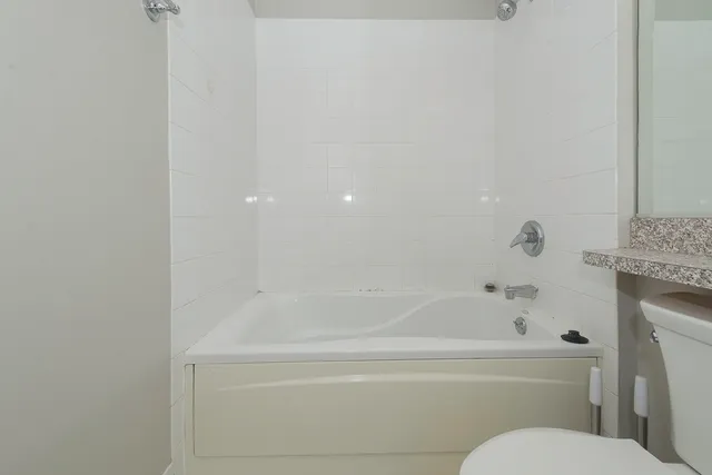 a bathroom with a toilet and a bathtub