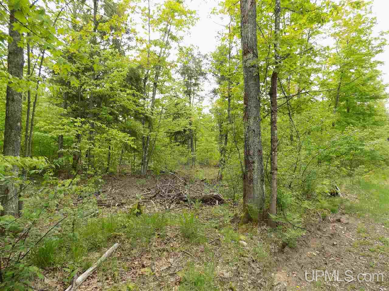 Tbd Slim's Road, Unit PARCEL B Manistique, MI 49854 - Photo 21 of 21