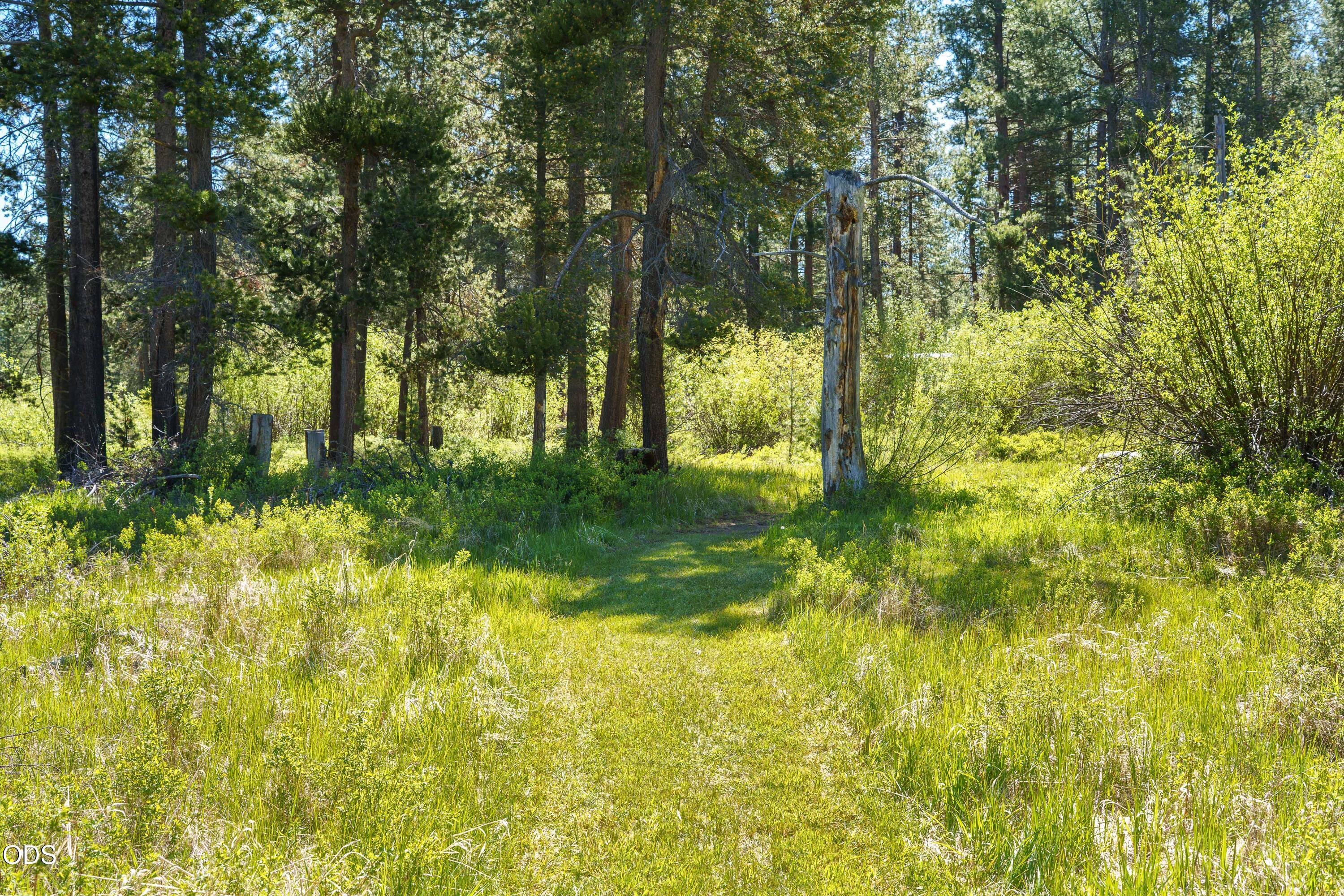 50910 Masten Road La Pine, OR 97739 - Photo 31 of 44 a backyard of a house with lots of green space