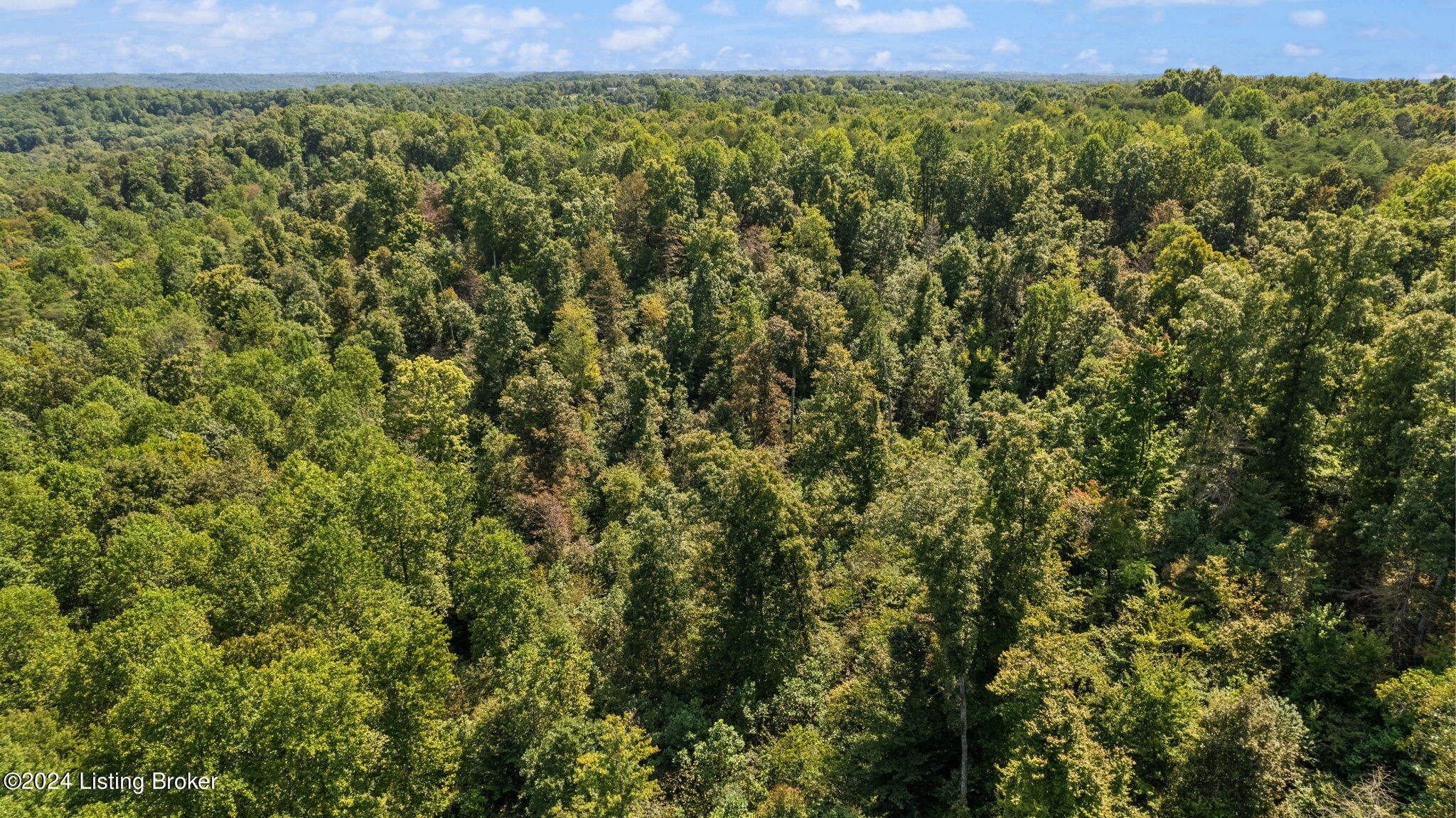 0 Jock Road Bee Spring, KY 42207 - Photo 33 of 42 32-web-or-mls-DJI_0854