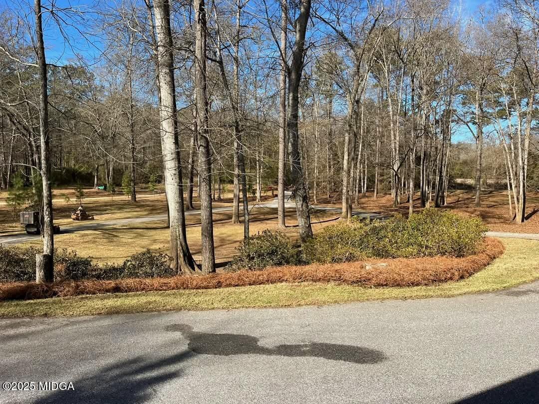 502 Old Dames Ferry Road Juliette, GA 31046 - Photo 9 of 44 FB_IMG_1736884318426