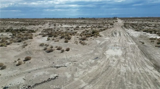 a view of a dry yard with wooden floor
