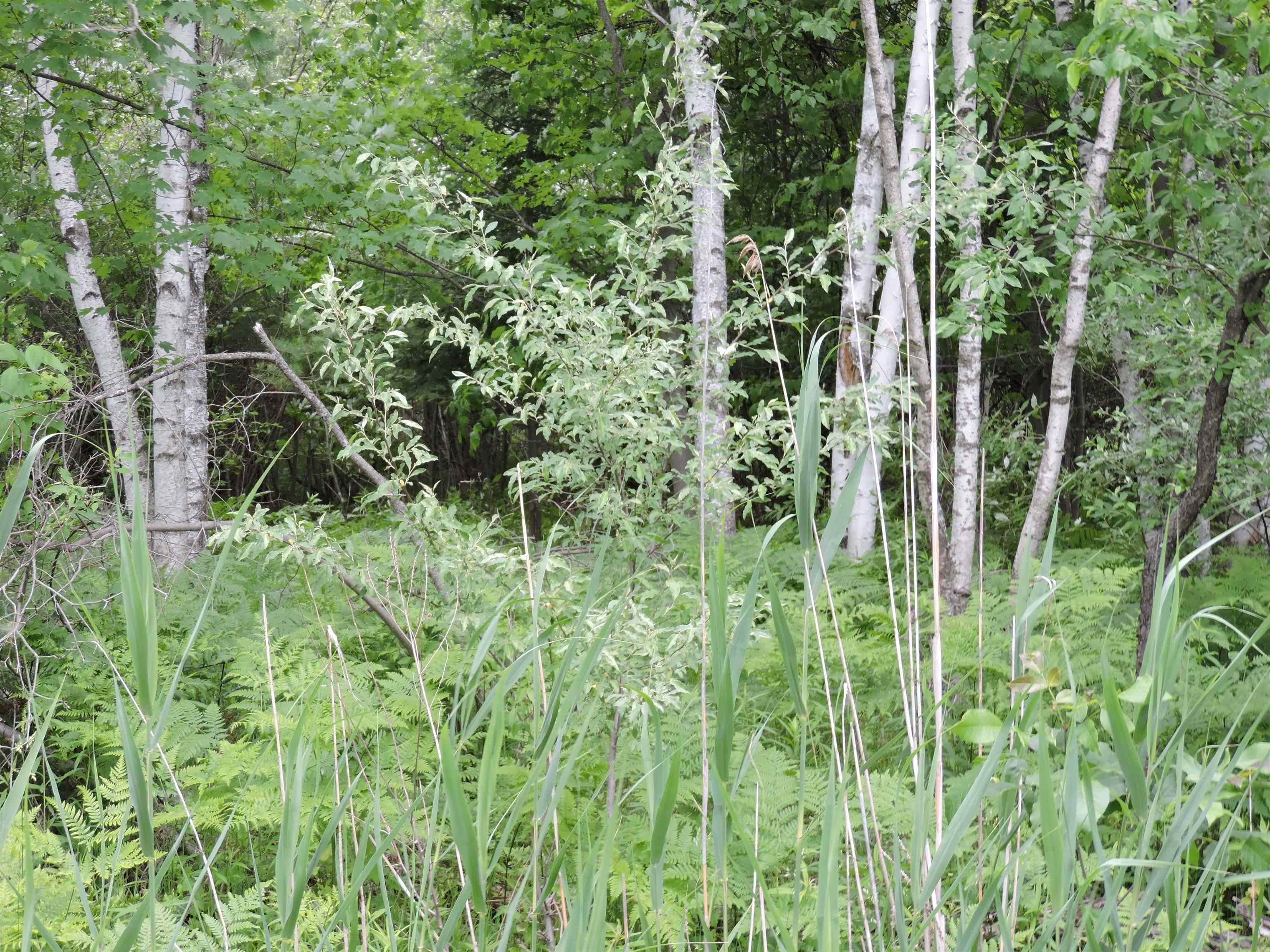 6686 Keystone Road Turner, MI 48765 - Photo 26 of 30