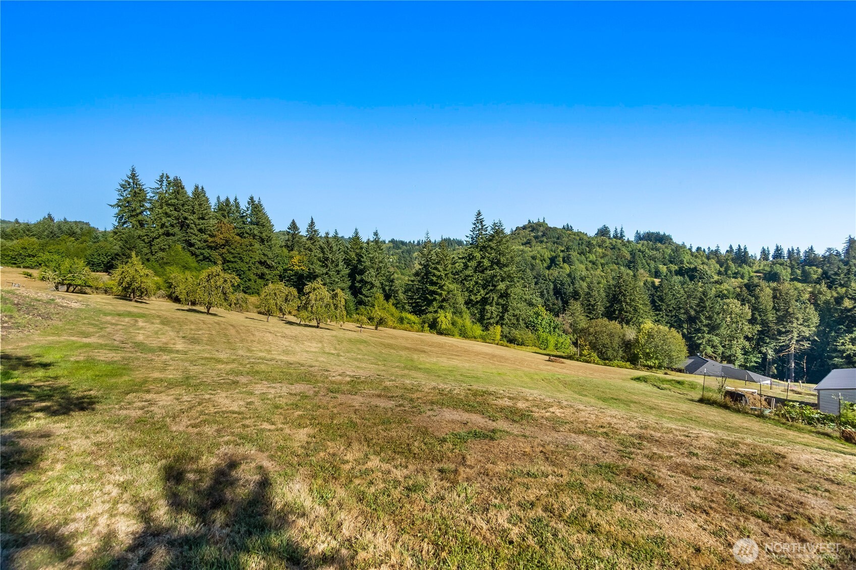 134 Newman Road Kalama, WA 98625 - Photo 7 of 30 Gallery Image 7