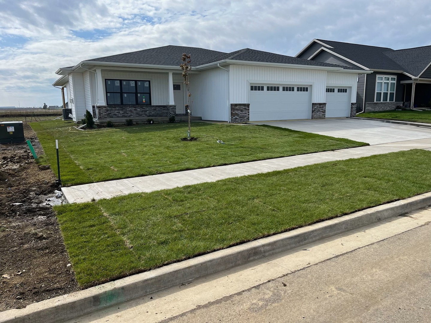 a view of a yard in front of a house